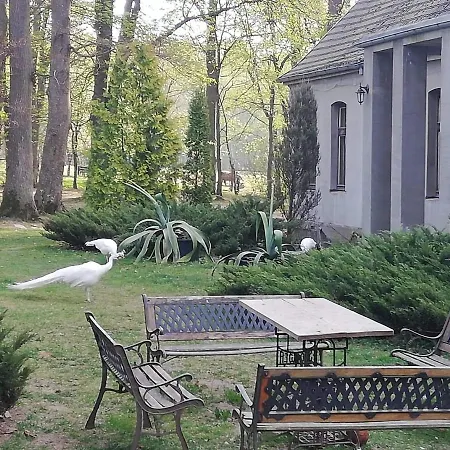 Stadnina Koni Dworek Karolewko Farm stay