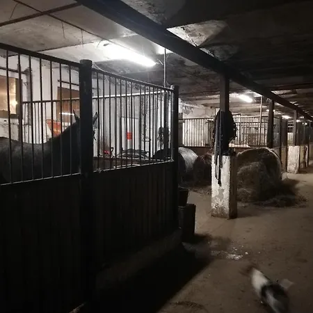 Farm stay Stadnina Koni Dworek Karolewko *
