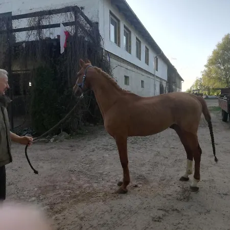 Farm stay Stadnina Koni Dworek Karolewko