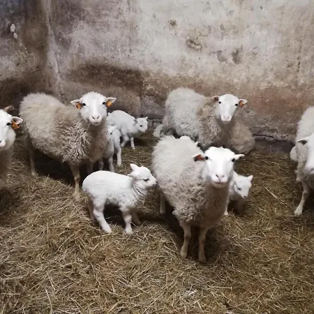 Farm stay Stadnina Koni Dworek Karolewko Drzonowo